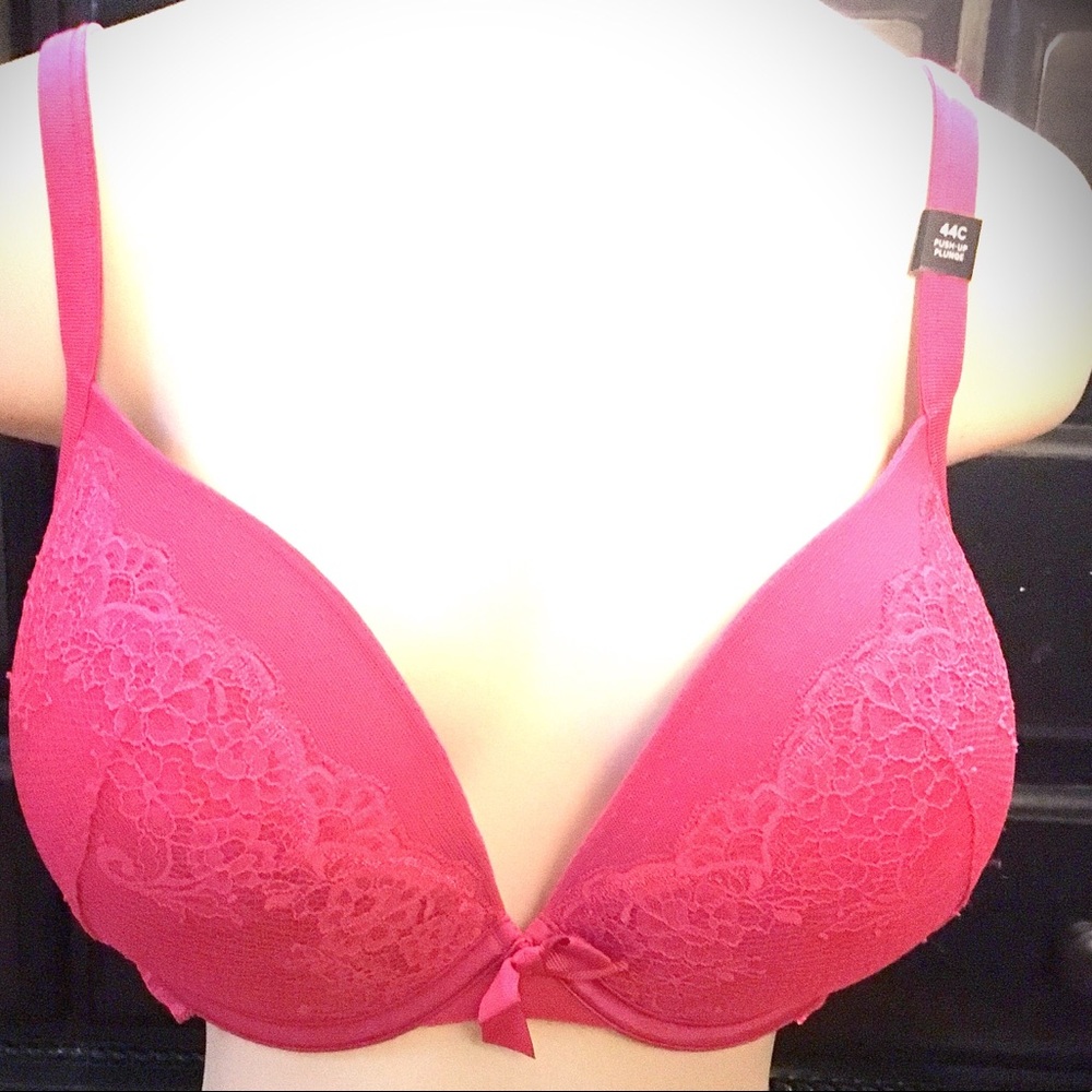 Torrid Lace Push Up Plunge Bra size 44C
